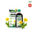 샬루스 쉐넨베르거 유기농 민들레 착즙주스 200ml*6병
