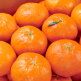 [알뜰총각][알뜰총각][중대/2.5kg] 제주 산지직송 레드향 2.5kg 중대과(10-13과)