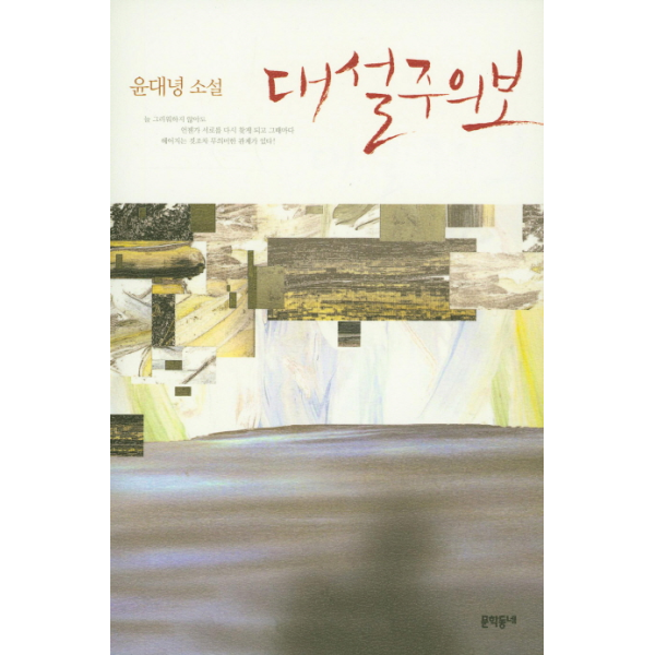 문학동네 빅북 대설주의보 윤대녕 소설