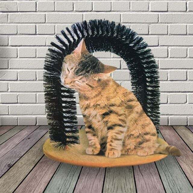 피플펫 지오벤처스 고양이 놀이 터널 스크래치 타워 브러쉬 애완동물 장난감