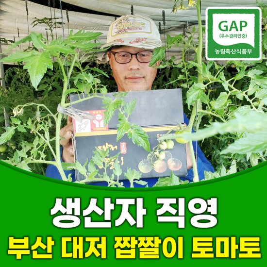 대저 짭짤이 토마토 2.5kg (2S+S혼과)