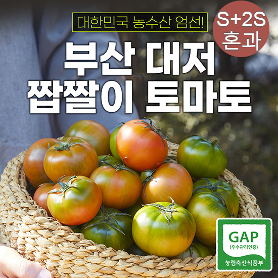 대저 짭짤이 토마토 2.5kg (2S+S혼과)