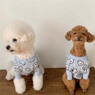 子犬 ニット ペット犬 ニット うさぎ セーター 外出服を散歩 衣類トップス 愛犬 衣料品 部屋韓服
