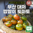 대저 짭짤이 토마토 2.5kg (M)