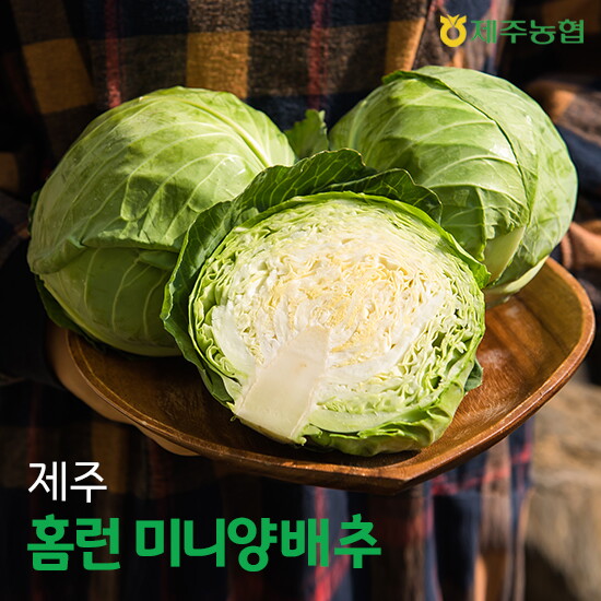 [햇살바람]제주 홈런 미니 양배추 6kg(7-9개입)