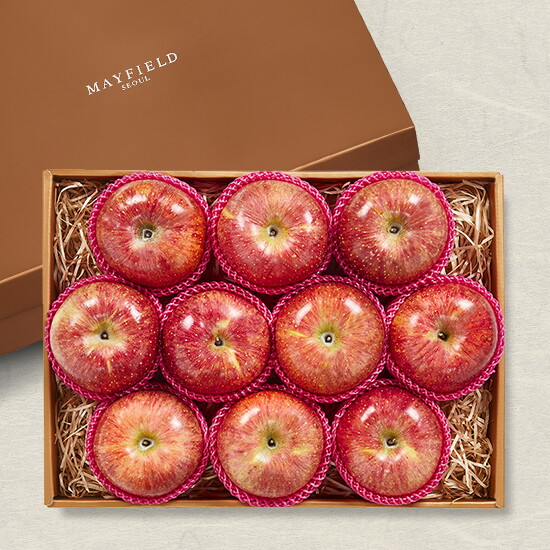 푸드진정성 메이필드호텔 골든후르츠 귀족사과 선물세트 B(10입/3.9kg특대과)