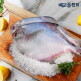 [바다애한끼]바다애한끼 국내산 손질 병어 300g 10팩 (총 20미, 3kg)(2)