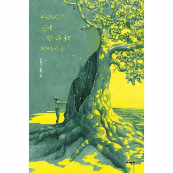 서해문집 이노플리아 사라지기 전에 단 하나의 이야기를 - 서해문집 청소년문학 17
