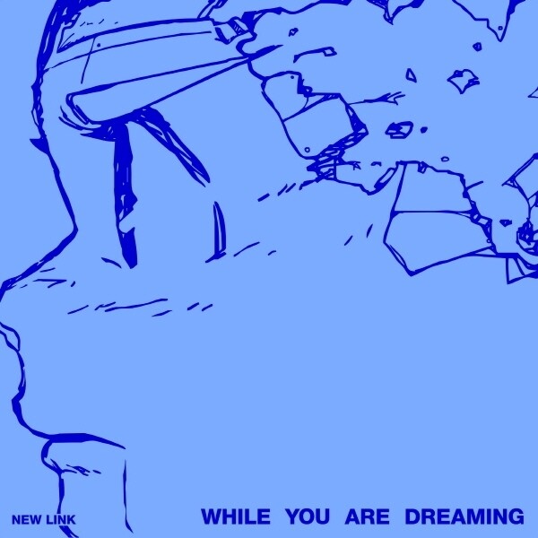 (주)뮤직버스 신나라 {05/15발매} New Link - While You Are Dreaming