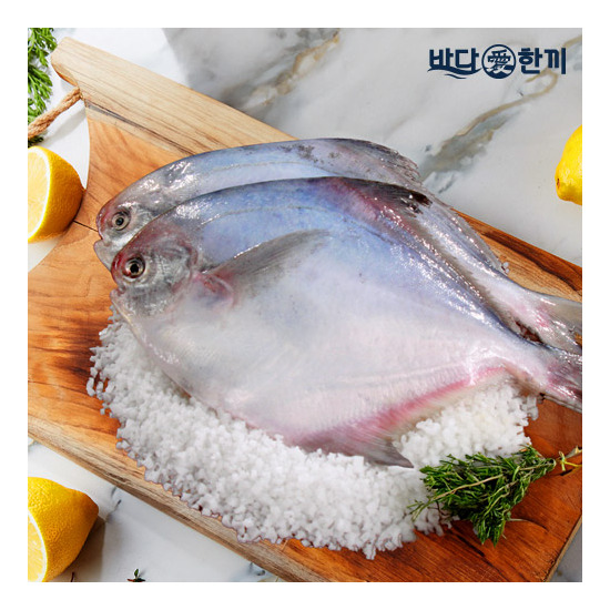 [바다애한끼]바다애한끼 국내산 손질 병어 300g 10팩 (총 20미, 3kg)