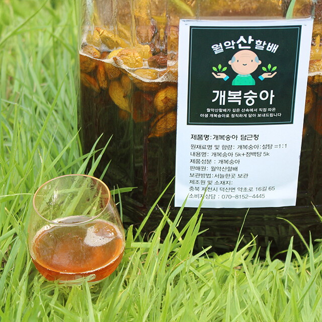 장보리 제천 개복숭아 담근청 복숭아청 10kg