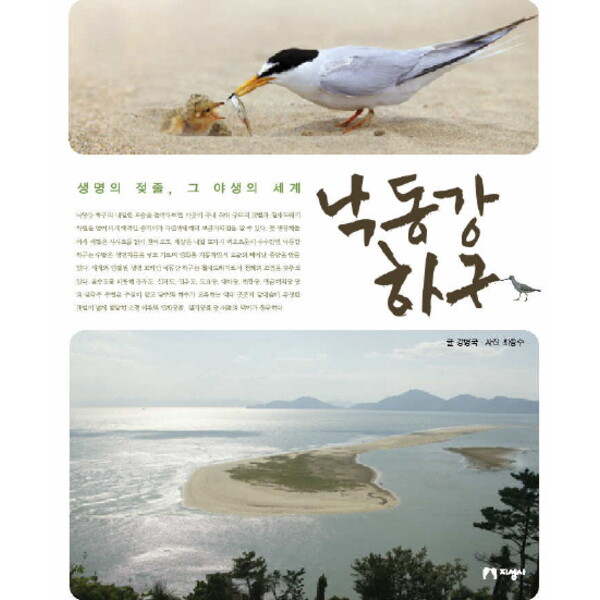 지성사 지성사 낙동강 하구 : 생명의 젖줄, 그 야생의 세계