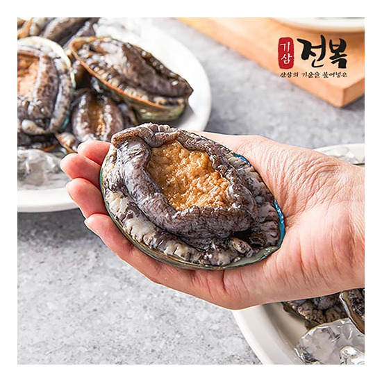 [기삼전복]진도 기삼 왕특대이상 활전복 140g이상 10미(1.4kg)