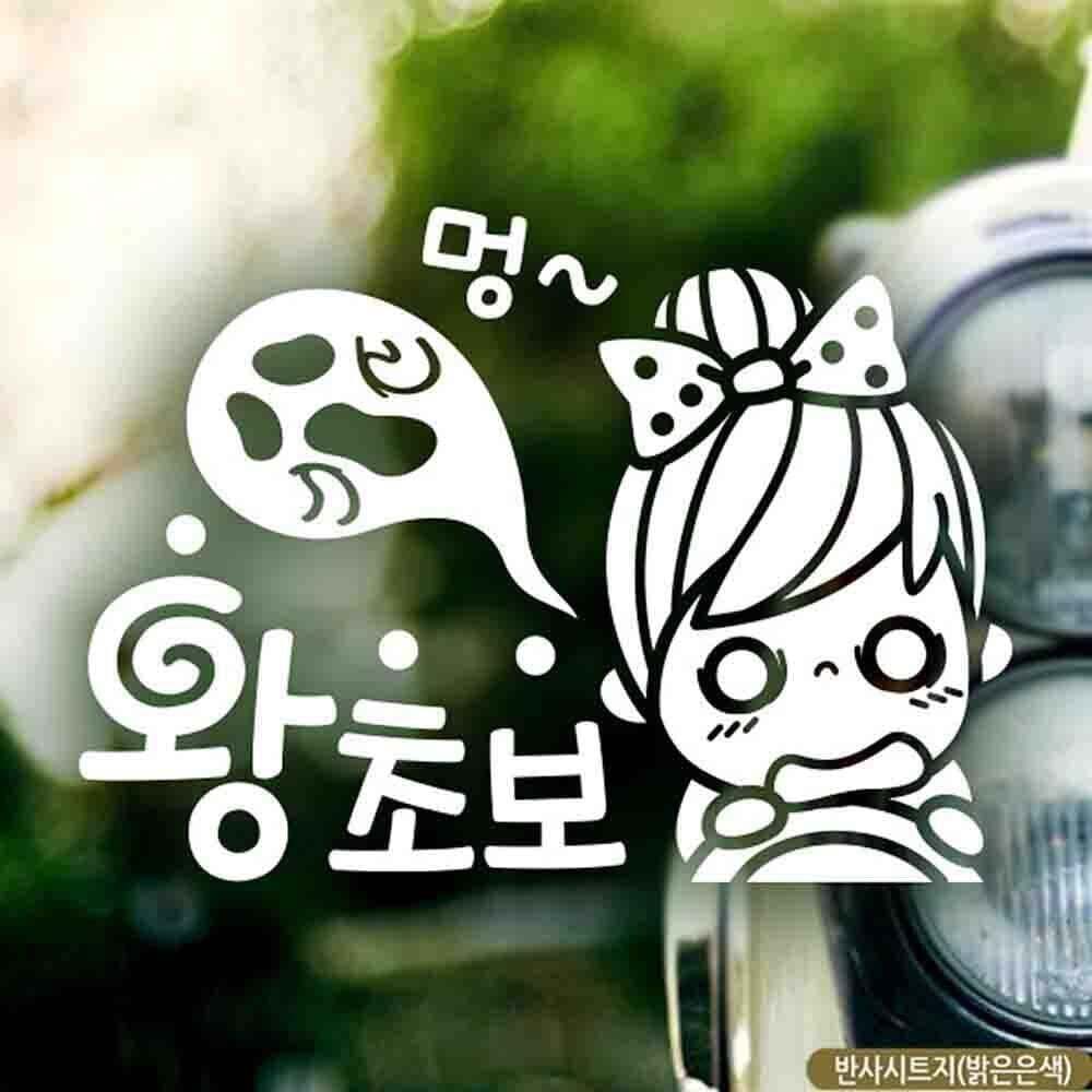 지오벤처스 자동차용 스티커 멍 반사 시트지 초보 운전자를 위한 장식