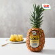 [돌][Dole 본사직영] 스위티오 골드파인애플 4개 (개당 1.7kg 내외)