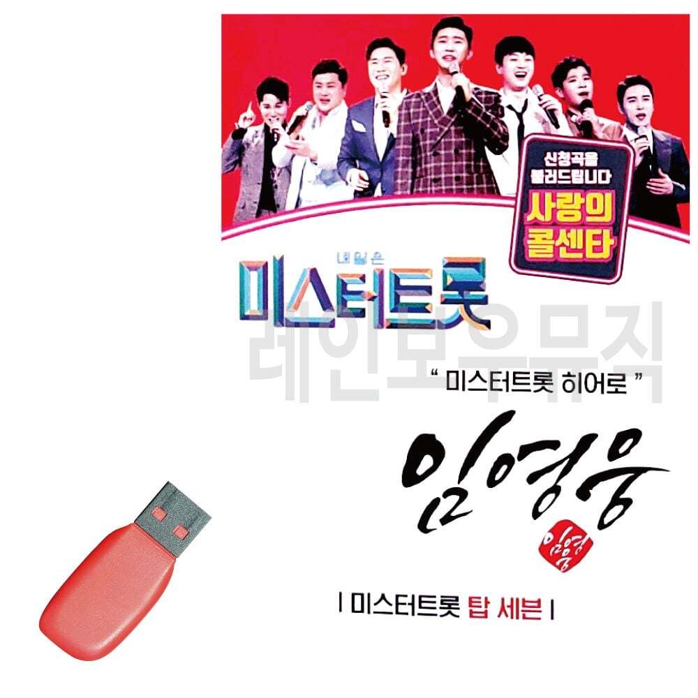 알티피아 USB 임영웅 미스터트롯 히어로