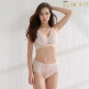[비비안 슬림핏]26SS 비비안 SLIMFIT NEW 아쿠아큐브 브라팬티 5세트