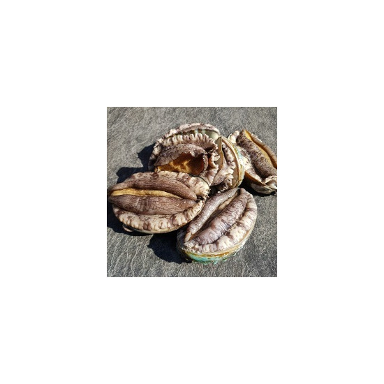 건강한전복 완도전복 대사이즈 17마리 1.25kg 산소선물포장