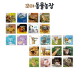 [세이펜][5세대 세이펜, 세이톡 런칭 라이브 기념 특별 혜택] 꼬마동물농장