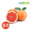 [익스프레쉬]레드 자몽 중과 15입 5.3kg 내외