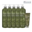 □[싱글] 랩프레스티지 안티옥시던트 항산화 탈모샴푸 500ml*5개 + (무료체험분)100ml*1개