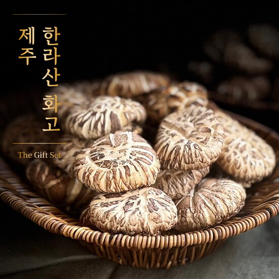 [제주시산림조합]제주 한라산 화고버섯 선물세트 170gx3팩+쇼핑백포함