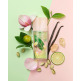[엘리자베스아덴]그린티 피스타치오 크런치 EDT 100ml 세트(+바디로션 추가구성)