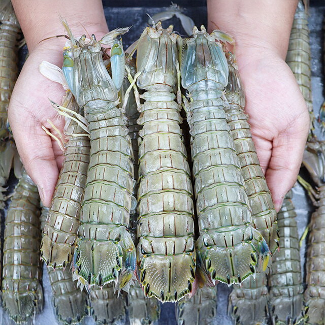 장보리 장보리 서천어부의 자연산 갯가재 1kg