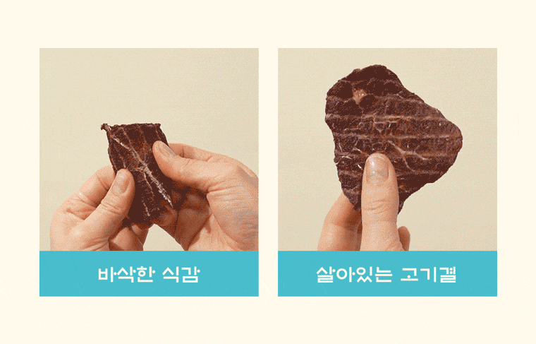 10.gif