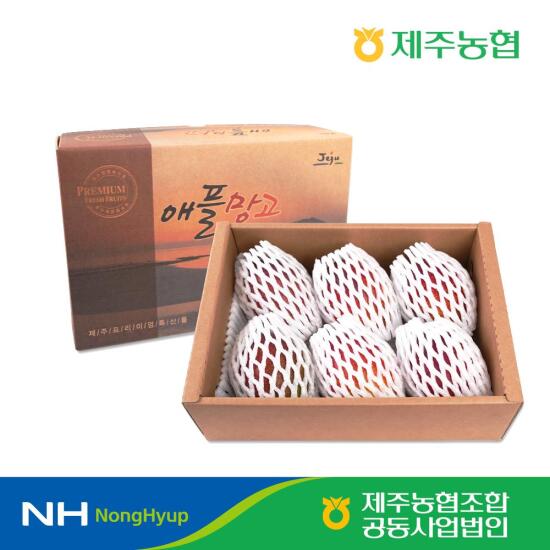 [햇살바람]제주농협 애플망고 3kg(9-10입)