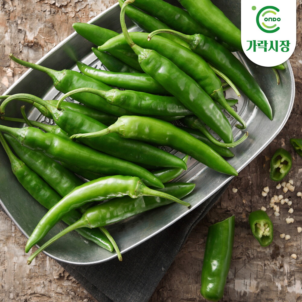 온도씨 [온도씨]가락시장 당일경매 청양고추 5kg