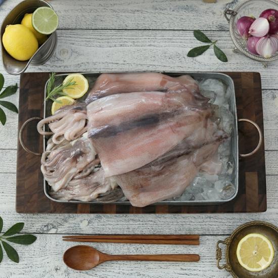 [오숙수][오숙수] 동해 품은 할복 손질 오징어 14마리 (총 1.82kg)