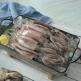 [오숙수][오숙수] 동해 품은 할복 손질 오징어 14마리 (총 1.82kg)