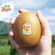 [제스프리]제스프리 썬골드키위 자이언트점보과 3.2kg (21입, 개당 155g내외)