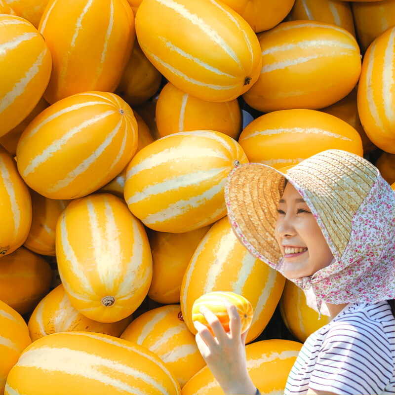 포미식탁 포미식탁 가정용 못난이 성주참외 5kg 중소과 (24-32과)