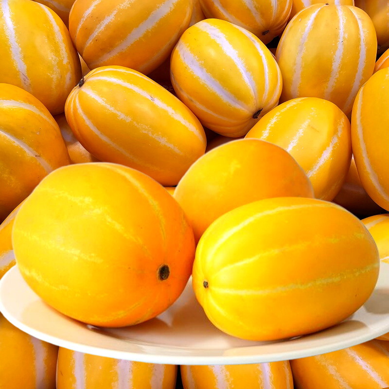 포미식탁 포미식탁 가정용 못난이 성주참외 4.5kg 중소과 (21-30과)