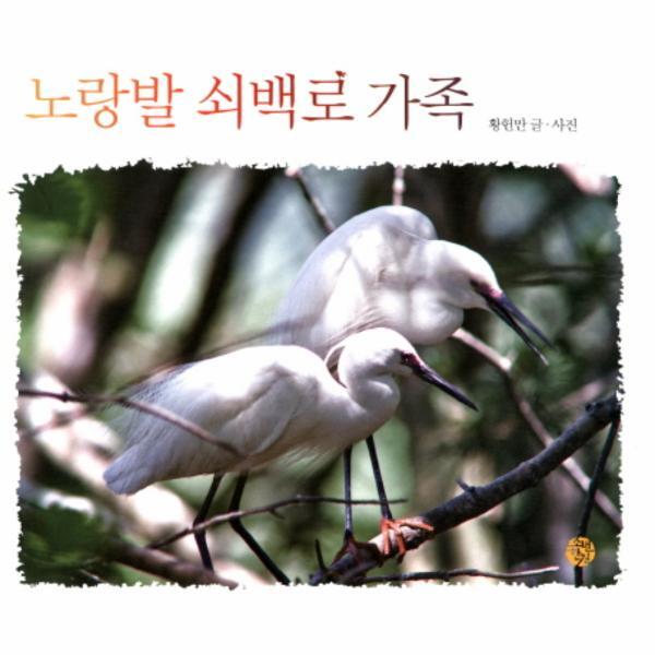 소년한길(토마토하우스) 이노플리아 노랑발 쇠백로 가족