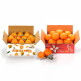 [알뜰총각][알뜰총각] 산지직송 제주 선별 레드향 2.5kg + 한라봉 2.5kg