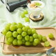 [알뜰총각][알뜰총각][선물포장/2kg] 영천 산지직송 샤인머스켓 특품 선물세트 2kg(실중량/2-3송이)